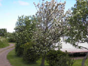 p1010001.jpg